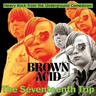VARIOUS ARTISTS - Brown Acid - The Seventeenth Trip / Various