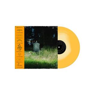 FRANK CARTER &amp; THE RATTLESNAKES - Dark Rainbow [lp] (Honey Colored Vinyl, Limited,)