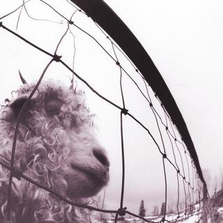 PEARL JAM - Vs. (30th Anniversary Edition)