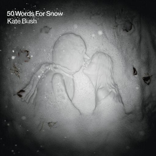 KATE BUSH - 50 Words For Snow (2018 Remaster) [2lp] (180 Gram Black Vinyl, 20pg Booklet, Import)