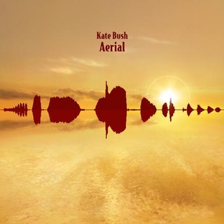KATE BUSH - Aerial (2018 Remaster) [2lp] (180 Gram Black Vinyl, 24pg Booklet, Import)