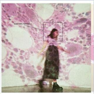 SOCCER MOMMY - Sometimes, Forever