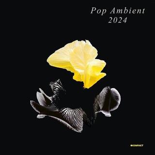 VARIOUS ARTISTS - Pop Ambient 2024 / Various