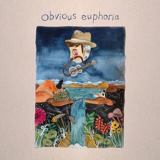 MATT MITCHELL MUSIC CO. - Obvious Euphoria [lp]