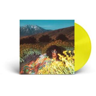 BRITTANY HOWARD - What Now