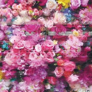 BERSARIN QUARTETT - Systeme