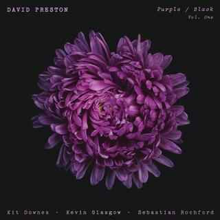 DAVID PRESTON - Purple / Black Vol.1