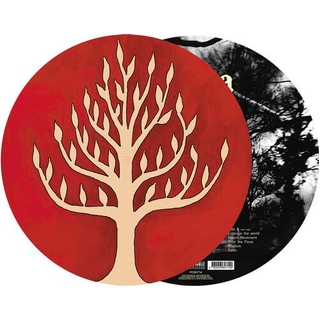 GOJIRA - The Link (Picture Disc)