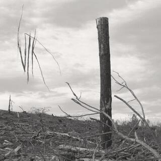 VLK - Solastalgia I