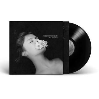 BLACK NAIL CABARET - Chrysanthemum