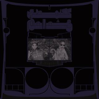 SHABAZZ PALACES - Exotic Birds Of Prey - Translucent White