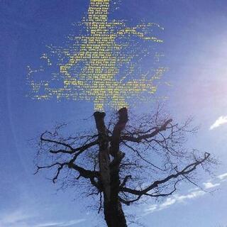 LAETITIA SADIER - Rooting For Love [lp] (Full Color Inner Sleeve With Lyrics, Credits, Photos)