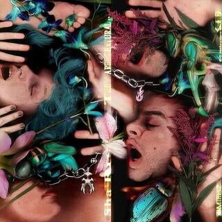 SHA RU - They Are Textural