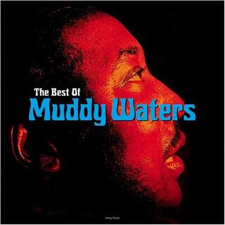 MUDDY WATERS - The Best Of Muddy Waters