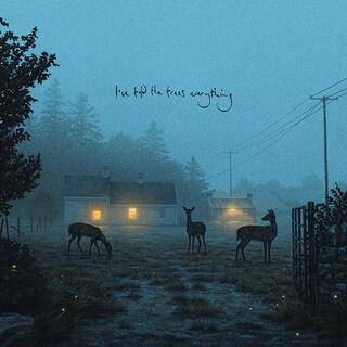 DERMOT KENNEDY - Ive Told The Trees Everything
