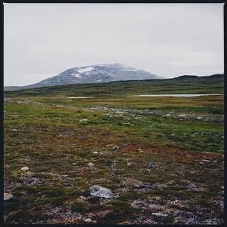 GIDGE - Tundra