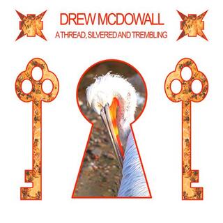 DREW MCDOWALL - A Thread, Silvered And Trembling (Clear Red Vinyl)