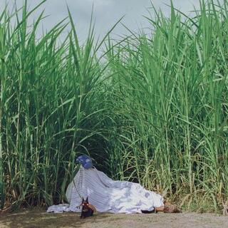 INDUS - Negra [lp]