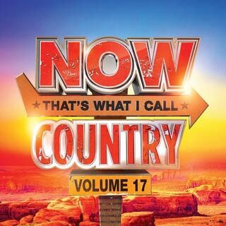 VARIOUS ARTISTS - Now Country 17 / Various