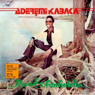 REMI KABAKA - Roots Funkadelia