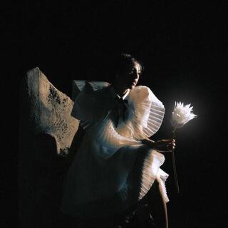 TELENOVA - Time Is A Flower