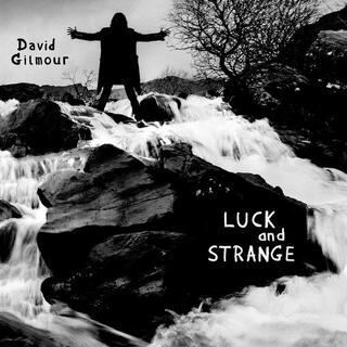 DAVID GILMOUR - Luck & Strange (Vinyl)