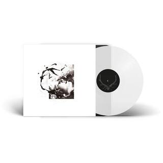 TENHI - Airut Aamujen