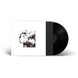 TENHI - Airut Aamujen