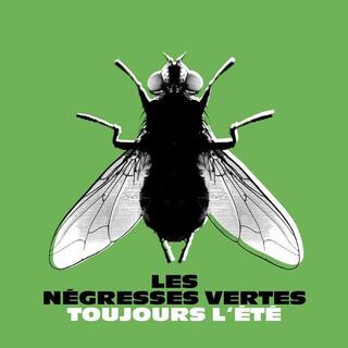 LES N GRESSES VERTES - Toujours L&#39;ete (Best Of) (White Vinyl)