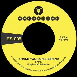 STEPHEN COLEBROOKE - Shake Your Chic Behind B/w Stay Away From Music (Opaque Green Vinyl)