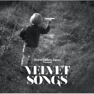 VARIOUS ARTISTS - Velvet Songs / Various