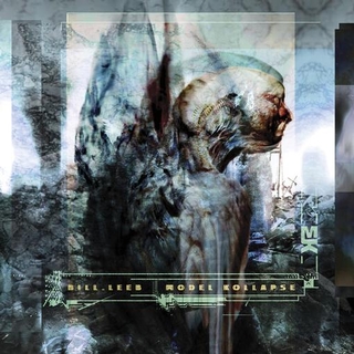 BILL LEEB - Model Kollapse