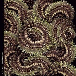 CLAN CAIMAN - Pica Pau [lp] (Japanese Import, Sticker)