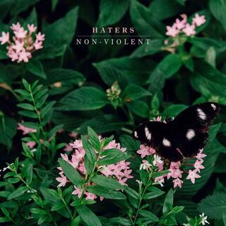 HATERS - Non-violent
