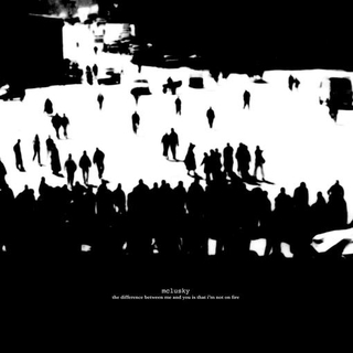 MCLUSKY - The Difference Between Me And You Is That I&#39;m Not On Fire (180g)
