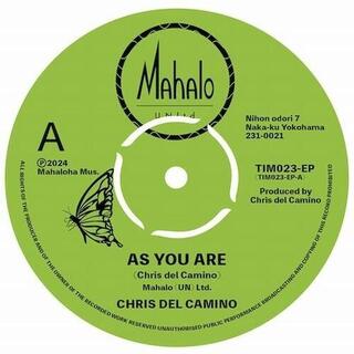 CHRIS DEL CAMINO - As You Are / Butterfly Monarch [7in] (Japanese Import)