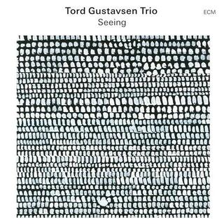TORD GUSTAVSEN TRIO - Seeing