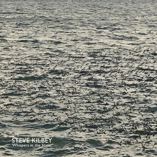 STEVE KILBEY - Whispers In The Attic (Grey Vinyl)