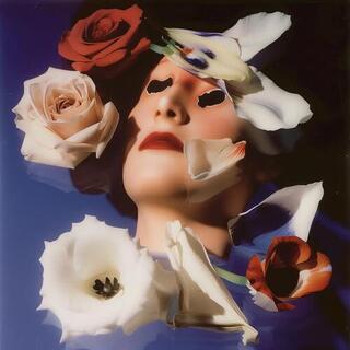 SNAKESKIN - They Kept Our Photographs [lp]