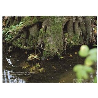 GOSHA MARTYNOV &amp; NATASHA SINYAKOVA - Imena Rek (Vinyl)