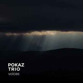 POKAZ TRIO - Voices (Vinyl)