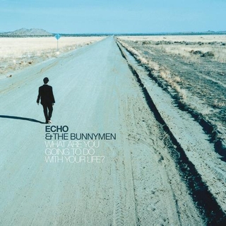 ECHO &amp; THE BUNNYMEN - What Are You Going To Do With Your Life ? (Vinyl)