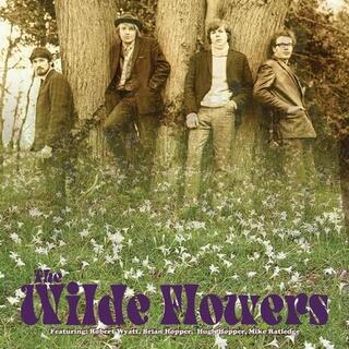 WILDE FLOWERS - The Wilde Flowers