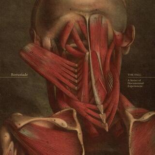 BORUSIADE - The Fall: A Series Of Documented Experiences [lp]