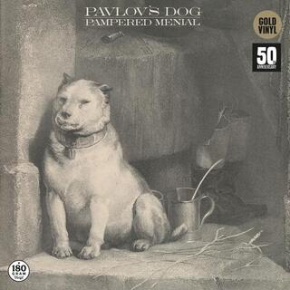 PAVLOUS DOG - Pampered Menial - Gold
