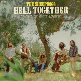 SHEEPDOGS - Hell Together