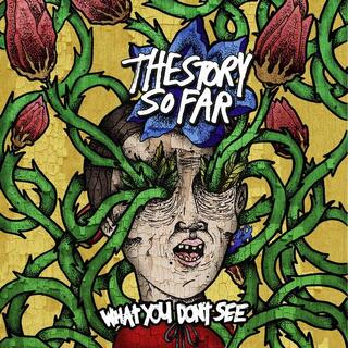 THE STORY SO FAR - What You Don&#39;t See (Tide Pods Marble)