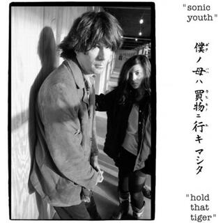 SONIC YOUTH - Hold That Tiger