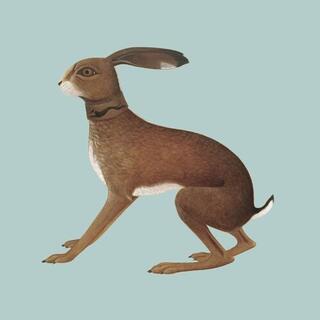 VASHTI BUNYAN - Lookaftering ( Expanded )