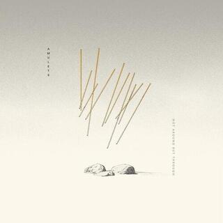 AMULETS - Not Around But Through [lp]
